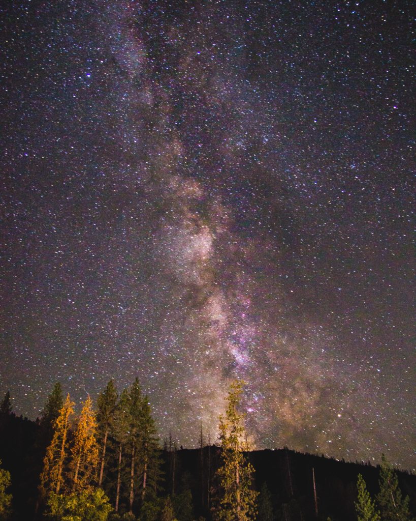 a night sky showing the Milky Way above trees
