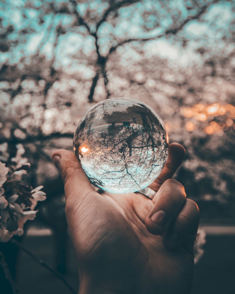 A hand holds a clear glass ball with blossoming trees in the background. The blossoms are reflected upside down in the glass ball.