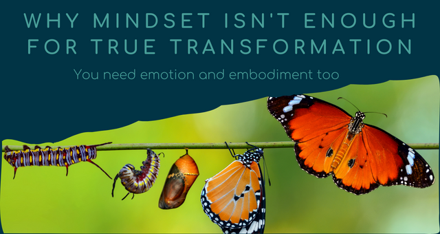 Why mindset isn't enough for true transformation - you need emotion and embodiment too words on dark green background above a photo of the stages of a caterpillar turning into a butterly